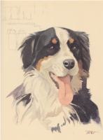Bild aus Unser Hund